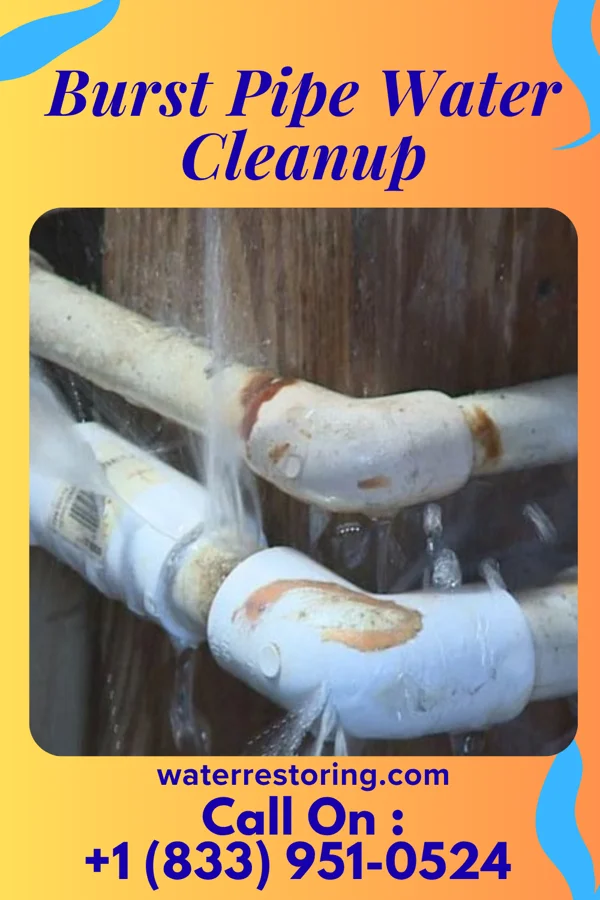 Burst Pipe Water Cleanup in Pineville, WV