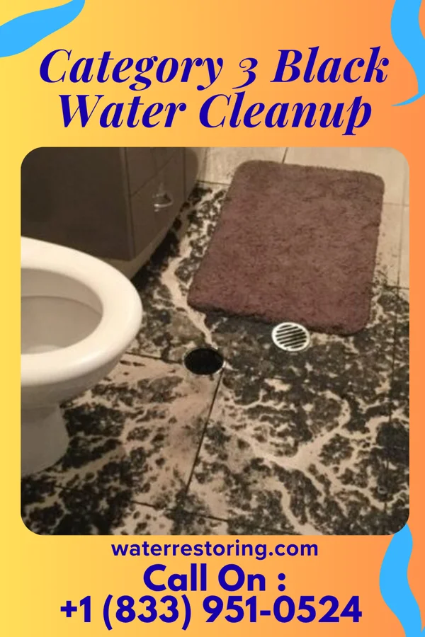 Category 3 Black Water Cleanup in Pineville, WV