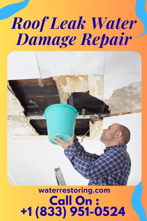 Roof Leak Water Damage Repair in Pineville, WV